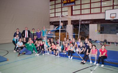 Professioneller Stufenbarren für die Höllberghalle